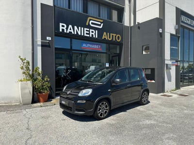 Fiat Panda 1.2 usata