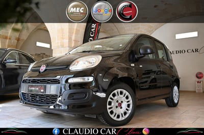 Fiat Panda 1.2 Easy usata
