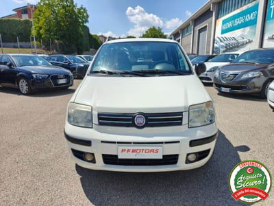 Fiat Panda 1.2 Dynamic GPL usata