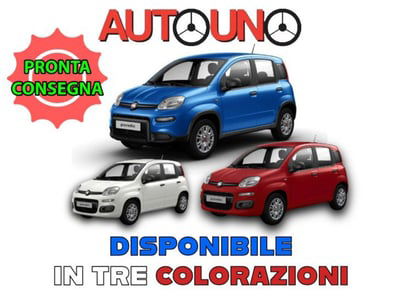 Fiat Panda Cross Cross 1.0 FireFly S&S Hybrid nuova