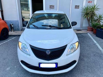 Lancia Ypsilon 1.2 69 CV 5 porte GPL Ecochic Alberta Ferretti usata