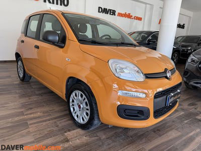 Fiat Panda 1.2 Easy usata