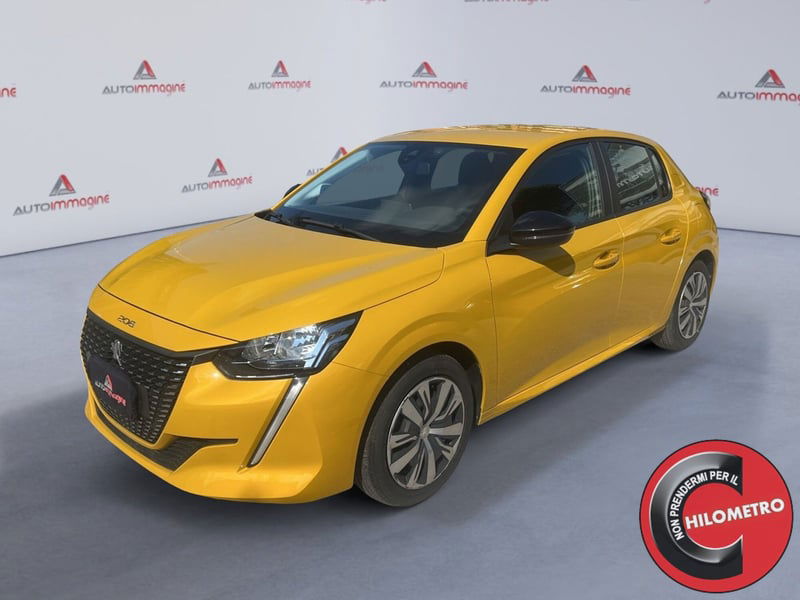 Peugeot 208 BlueHDi 100 Stop&Start 5 porte Active Pack