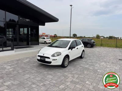 Fiat Punto 1.2 8V 5 porte Lounge usata