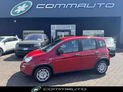Fiat Panda 1.0 firefly hybrid s&s 70cv 5p.ti nuova
