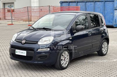 Fiat Panda 1.2 EasyPower Easy usata