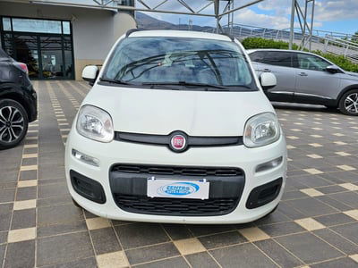 Fiat Panda 1.3 MJT S&S Easy usata