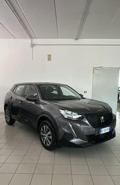 Peugeot 2008 BlueHDi 110 S&S Active usata