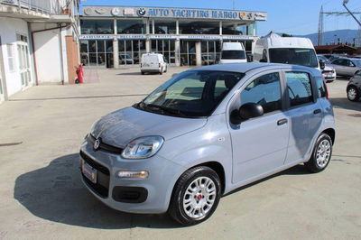 Fiat Panda 1.0 firefly hybrid Pop s&s 70cv usata