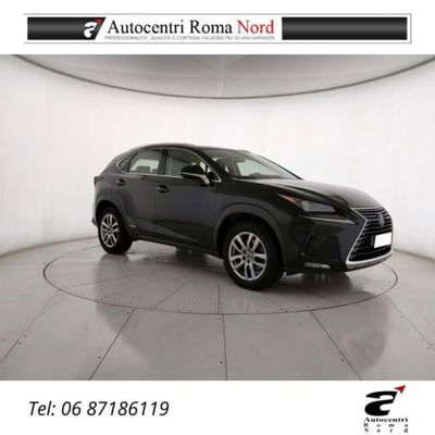 Lexus NX Hybrid 4WD Premium usata