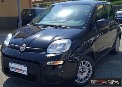 Fiat Panda 1.0 FireFly S&S Hybrid usata