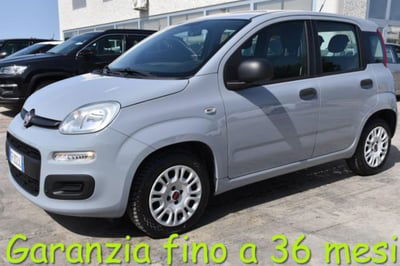 Fiat Panda 1.2 Easy usata