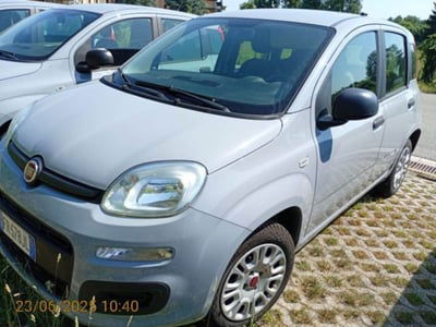 Fiat Panda 1.2 Easy usata