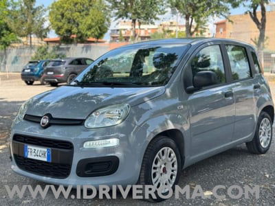 Fiat Panda 1.2 Easy usata