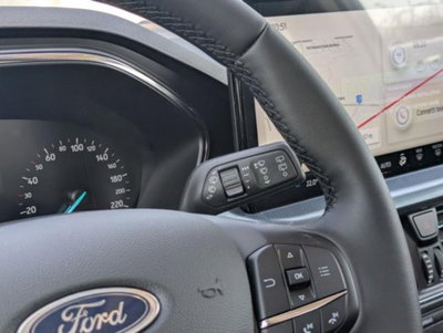 Ford Focus 1.0 EcoBoost Hybrid 125 CV Powershift 5p. Active Style (11)
