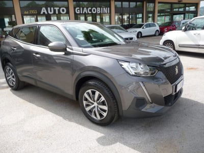 Peugeot 2008 BlueHDi 110 S&S Active usata
