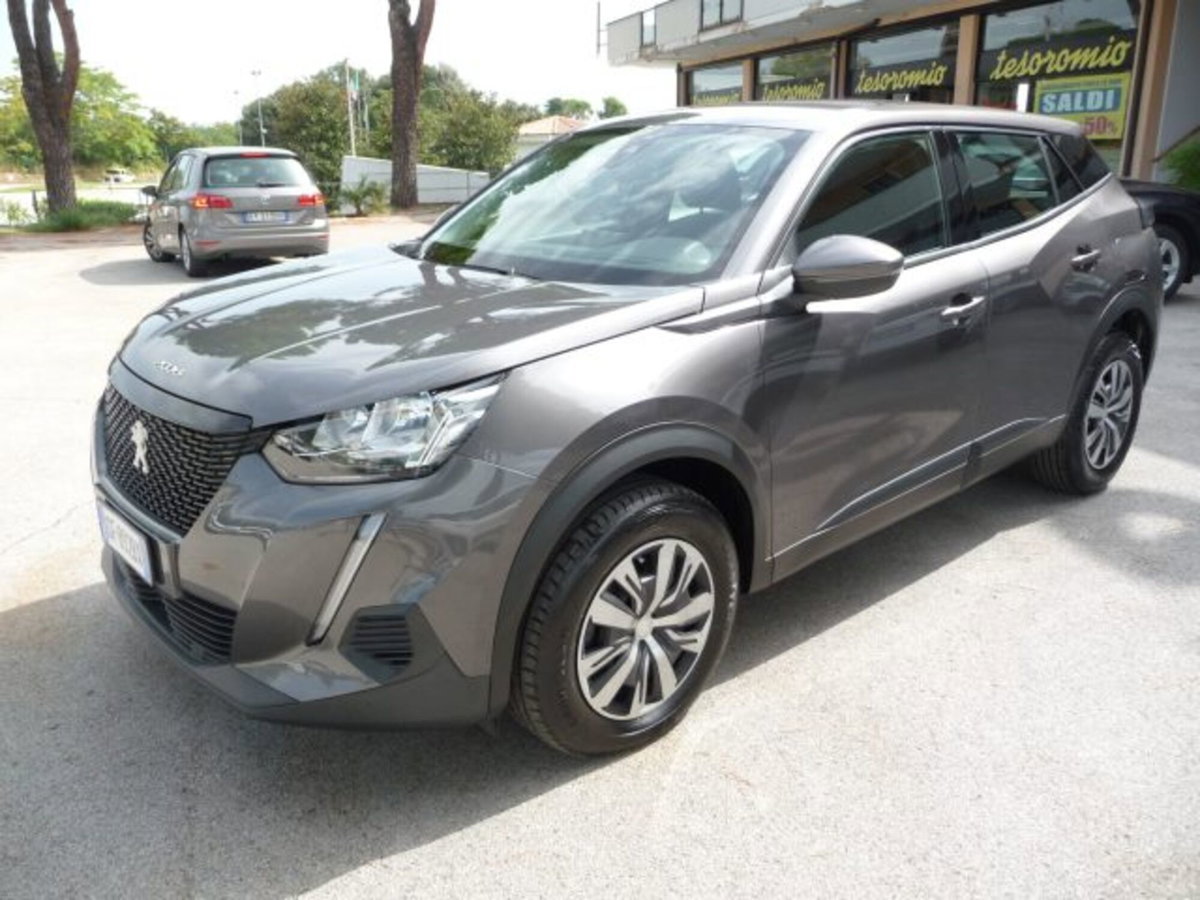 Peugeot 2008 BlueHDi 110 S&S Active (2)