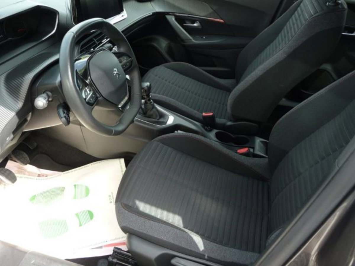 Peugeot 2008 BlueHDi 110 S&S Active (4)