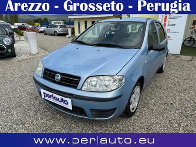 Fiat Punto 1.3 Multijet 16V 5 porte Dynamic usata