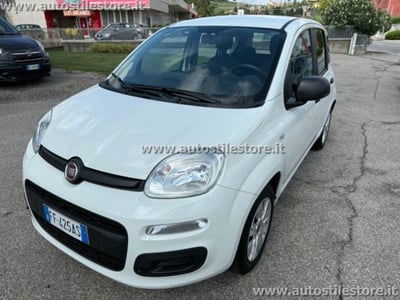 Fiat Panda 1.2 EasyPower Easy usata