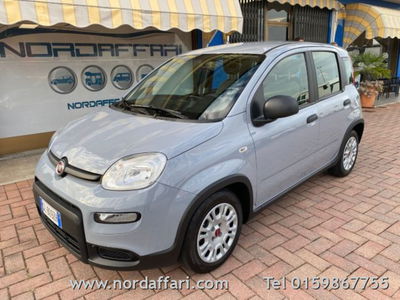 Fiat Panda 1.0 firefly hybrid s&s 70cv 5p.ti usata