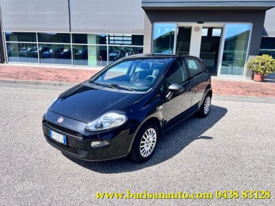 Fiat Punto 1.2 8V 5 porte Street usata