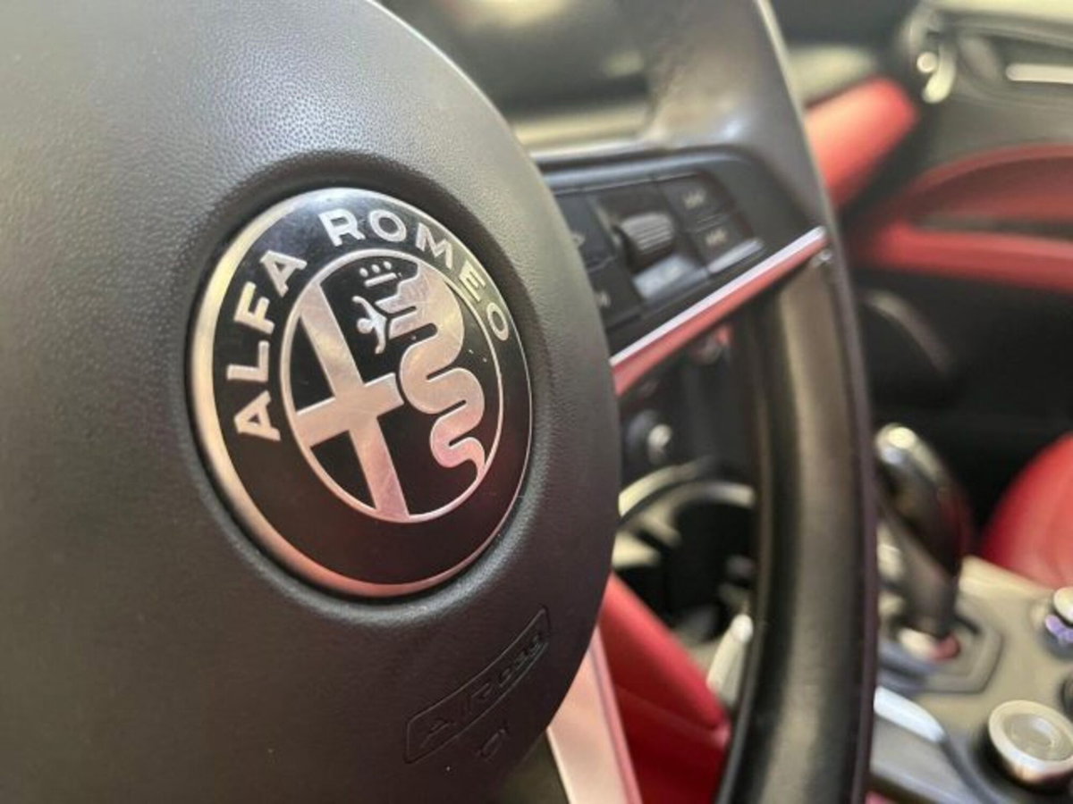 Alfa Romeo Stelvio Stelvio 2.2 Turbodiesel 180 CV AT8 Q4 Executive (9)