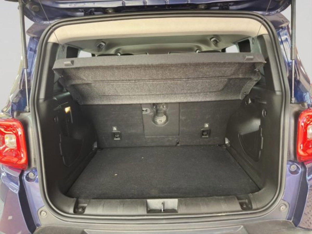 Jeep Renegade 1.3 T4 DDCT Limited (15)