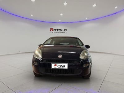 Fiat Punto 1.2 8V 5 porte Lounge usata