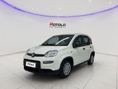 Fiat Panda Cross Cross 1.0 FireFly S&S Hybrid nuova