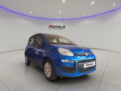 Fiat Panda 1.0 FireFly S&S Hybrid City Cross nuova