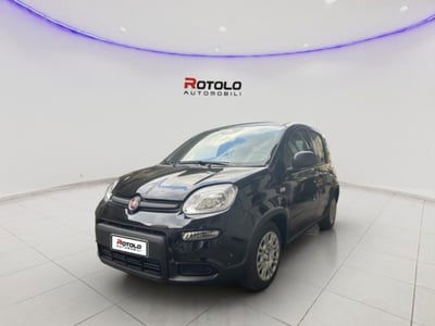 Fiat Panda Cross Cross 1.0 FireFly S&S Hybrid nuova