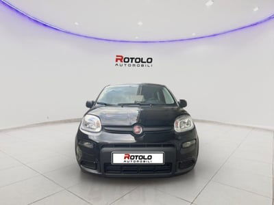 Fiat Panda 1.0 FireFly S&S Hybrid City Cross nuova