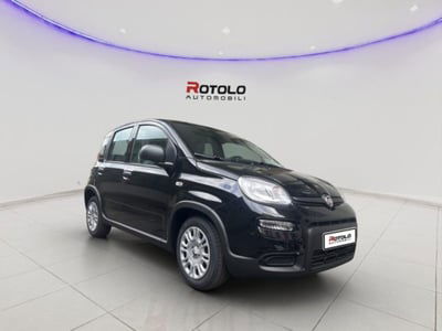 Fiat Panda 1.0 FireFly S&S Hybrid City Cross nuova
