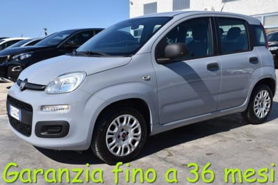 Fiat Panda 1.2 Easy usata