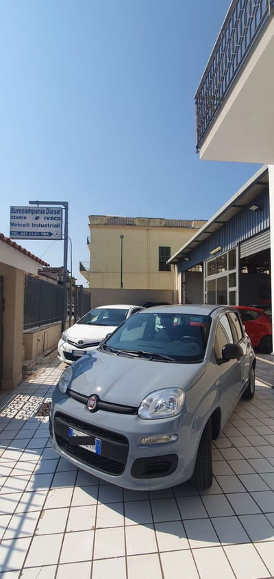 Fiat Panda 1.2 Pop usata