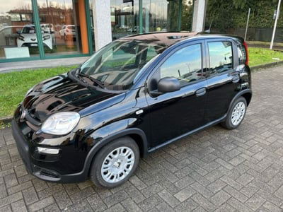 Fiat Panda Cross Cross 1.0 FireFly S&S Hybrid nuova