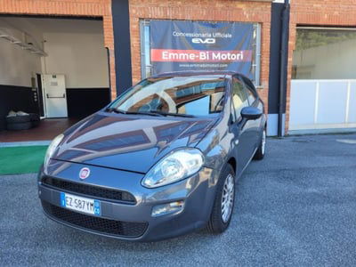Fiat Punto 1.2 8V 5 porte Lounge usata