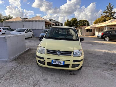 Fiat Panda 1.2 Alessi usata
