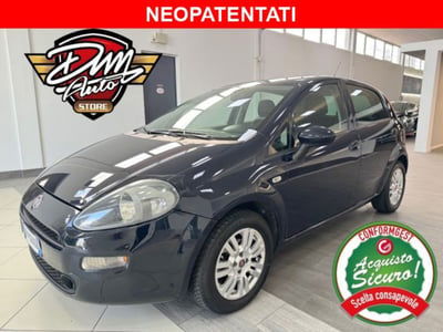 Fiat Punto 1.2 8V 5 porte Lounge usata