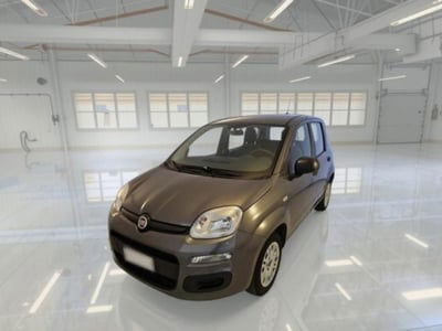 Fiat Panda 1.2 Easy usata