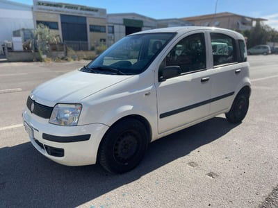 Fiat Panda 1.1 Active usata