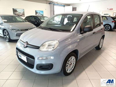 Fiat Panda 1.2 EasyPower Easy usata