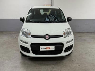 Fiat Panda 1.2 Easy usata