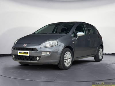 Fiat Punto 1.2 8V 5 porte Street usata