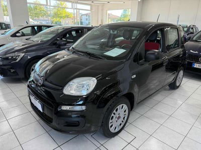 Fiat Panda 1.2 Easy usata