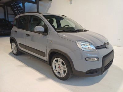 Fiat Panda 1.0 FireFly S&S Hybrid City Cross usata
