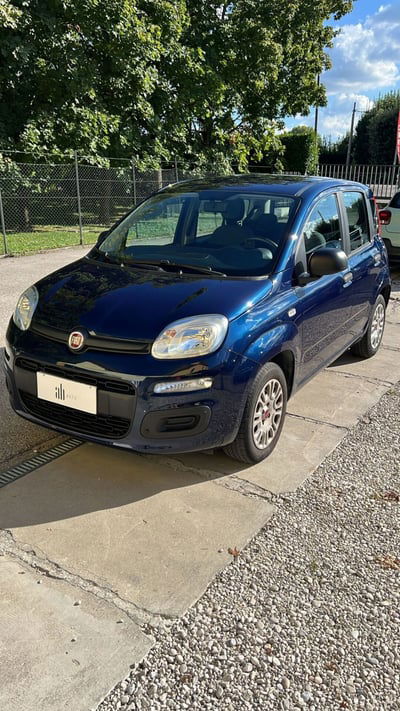 Fiat Panda 1.2 Easy usata
