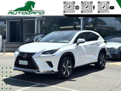 Lexus NX Hybrid 4WD Executive usata