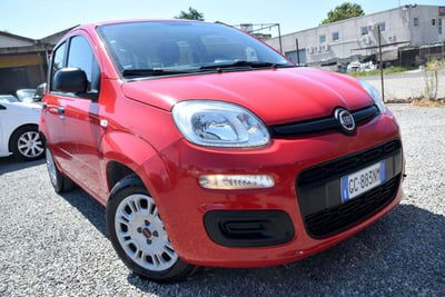 Fiat Panda 1.2 Easy usata